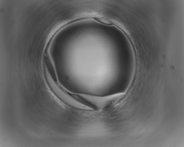 X0000070191056200605301308