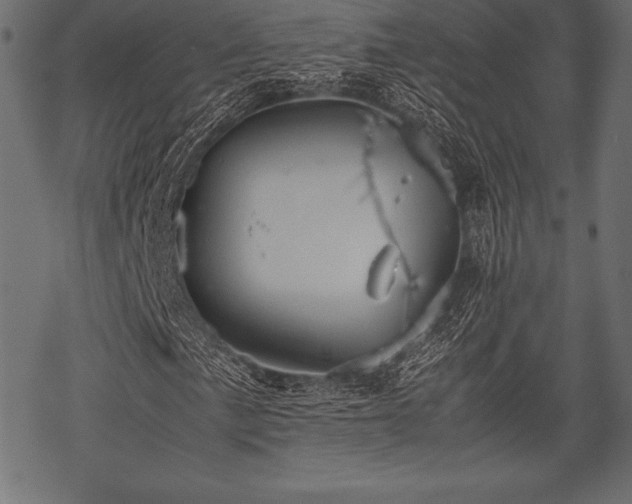 X0000070191057200605301307