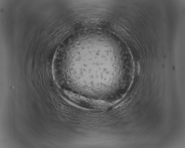 X0000070191059200605301307