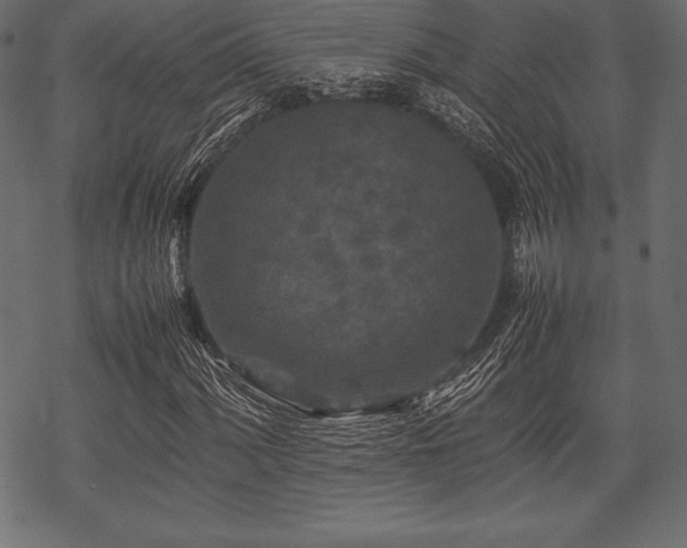 X0000070191060200605301307