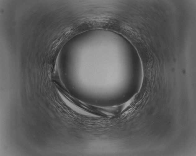 X0000070191061200605301307