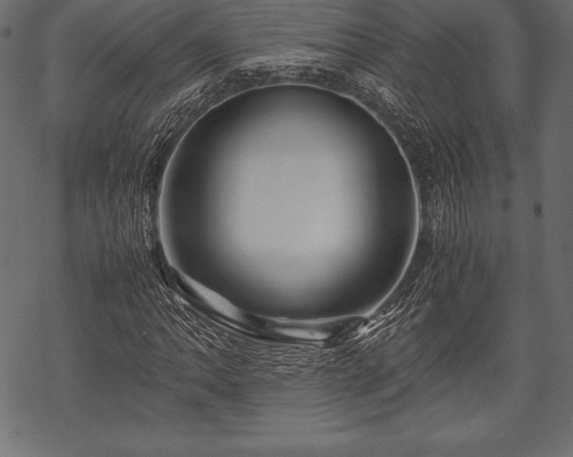 X0000070191062200605301307