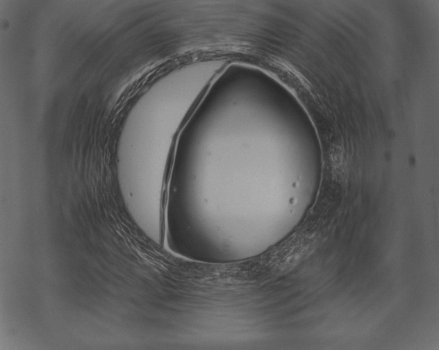 X0000070191064200605301307