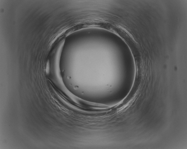 X0000070191065200605301307