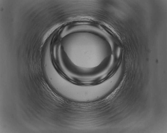 X0000070191066200605301307