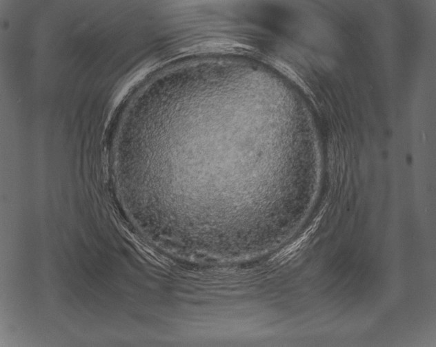 X0000070191067200605301307