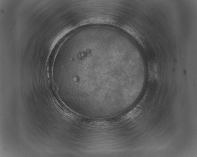 X0000070191070200605301307