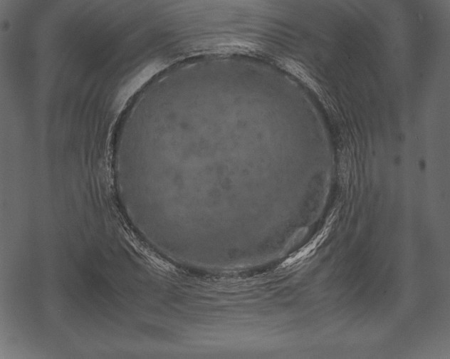 X0000070191071200605301307