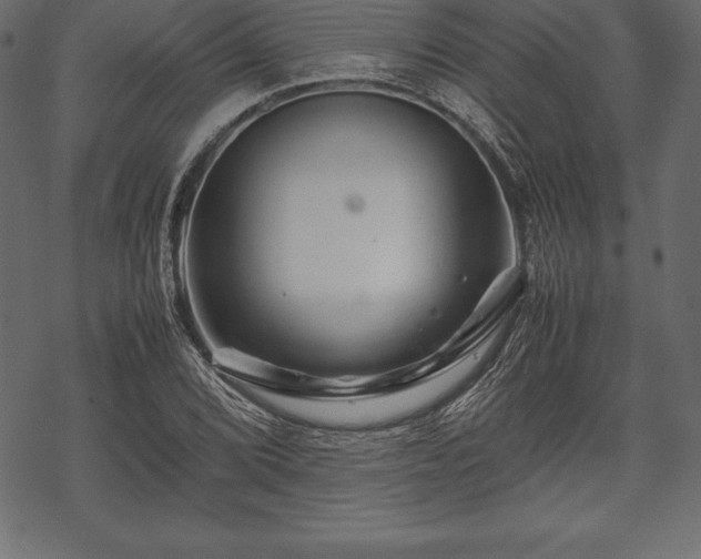 X0000070191072200605301307