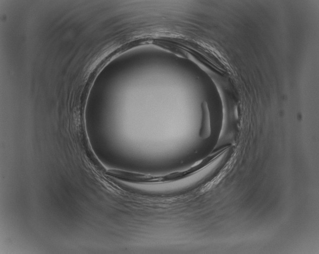 X0000070191073200605301307