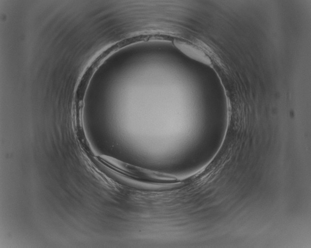 X0000070191076200605301307