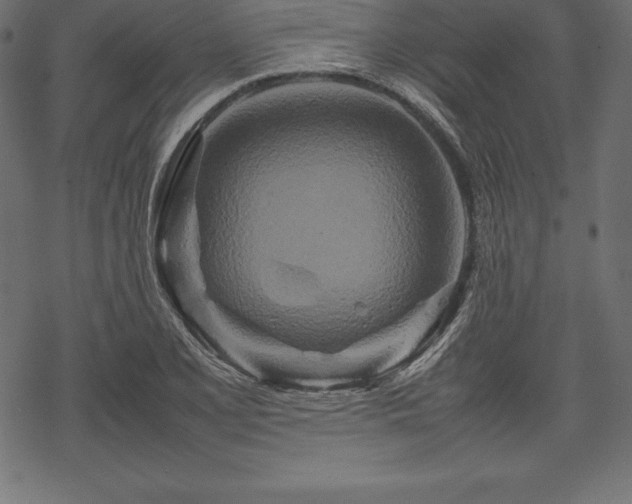 X0000070191077200605301307