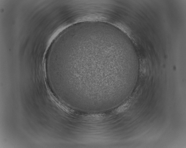 X0000070191078200605301307