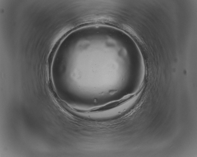 X0000070191079200605301307