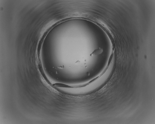 X0000070191080200605301307