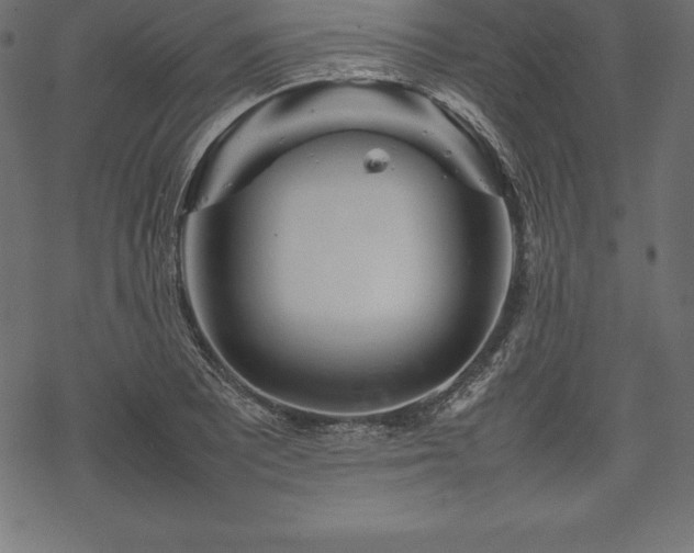 X0000070191081200605301307