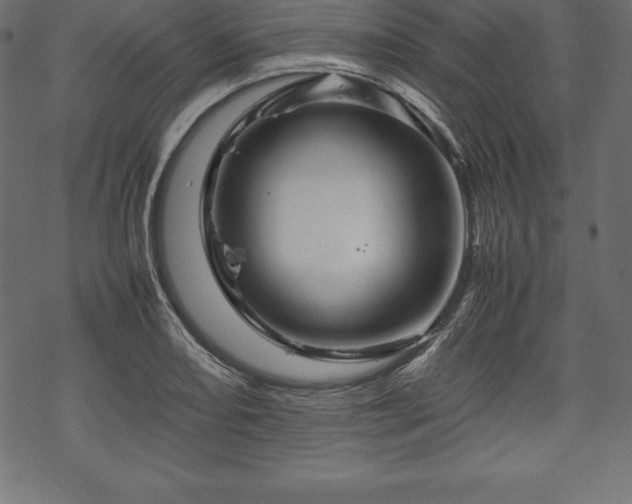 X0000070191082200605301307