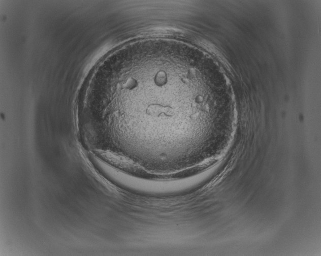 X0000070191083200605301306