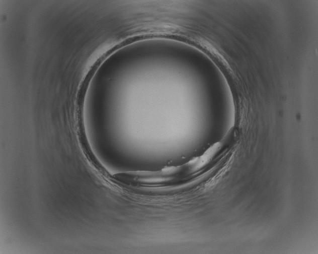 X0000070191085200605301306