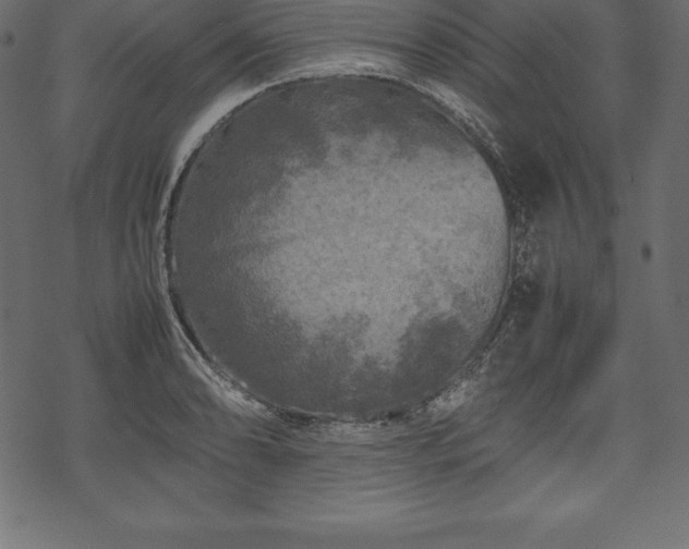 X0000070191086200605301306