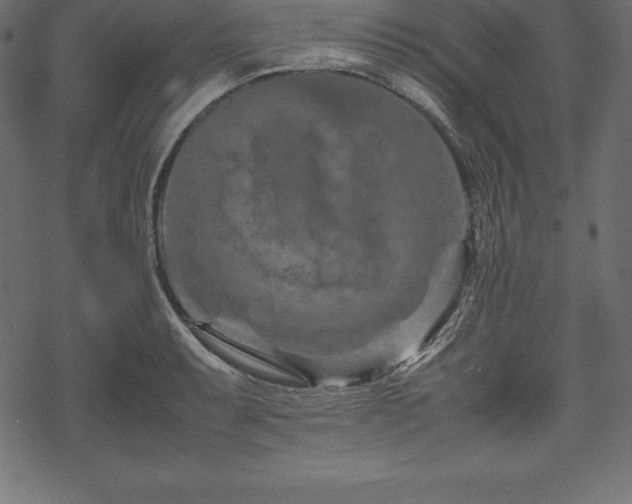 X0000070191087200605301306