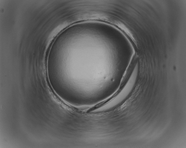 X0000070191088200605301306