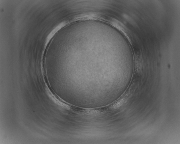 X0000070191090200605301306