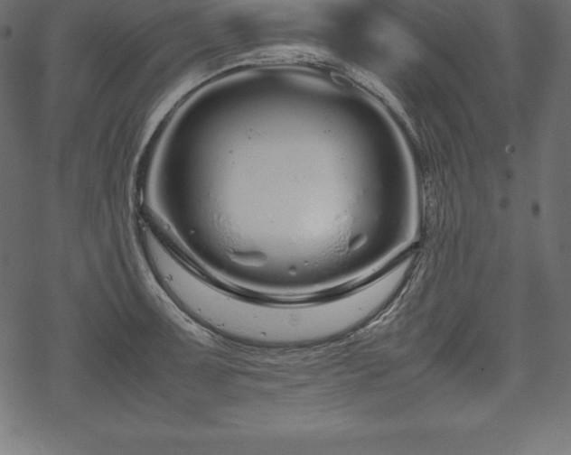 X0000070191091200605301306