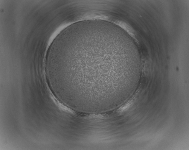 X0000070191094200605301306