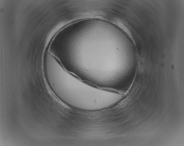 X0000070191096200605301306