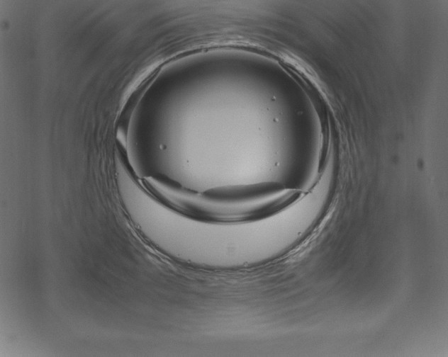 X0000070191097200605301306