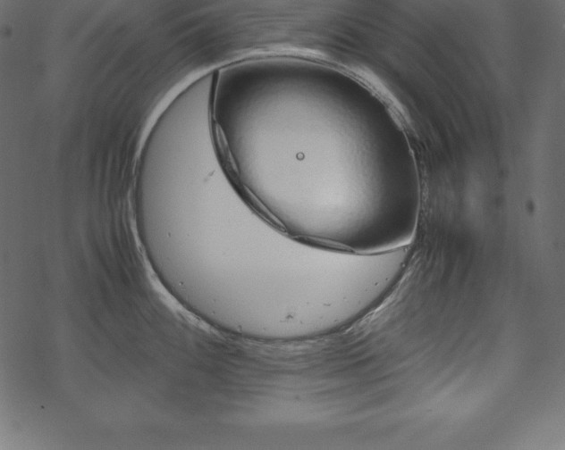 X0000070191100200605301306