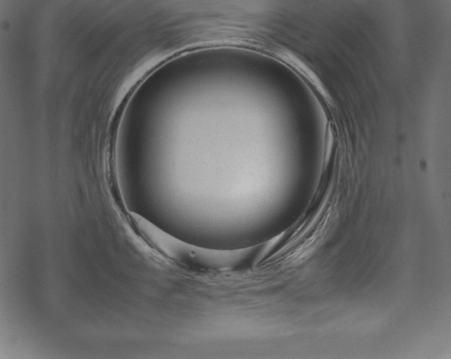 X0000070191101200605301306