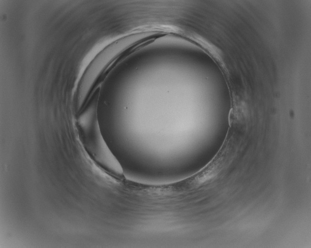 X0000070191102200605301306