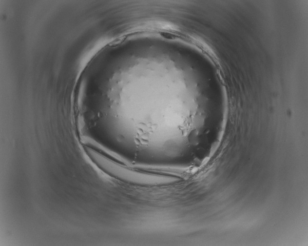 X0000070191103200605301306