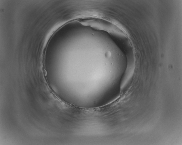 X0000070191104200605301306