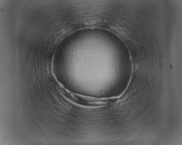 X0000070191106200605301305