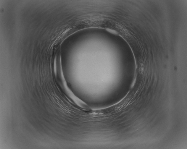 X0000070191108200605301305