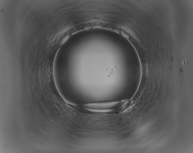 X0000070191111200605301305