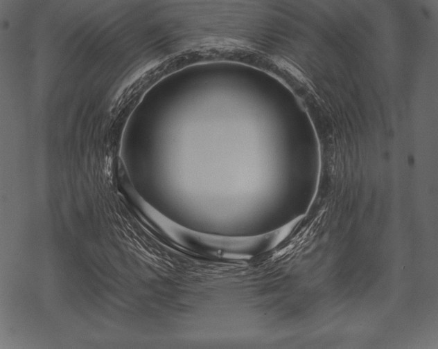 X0000070191112200605301305