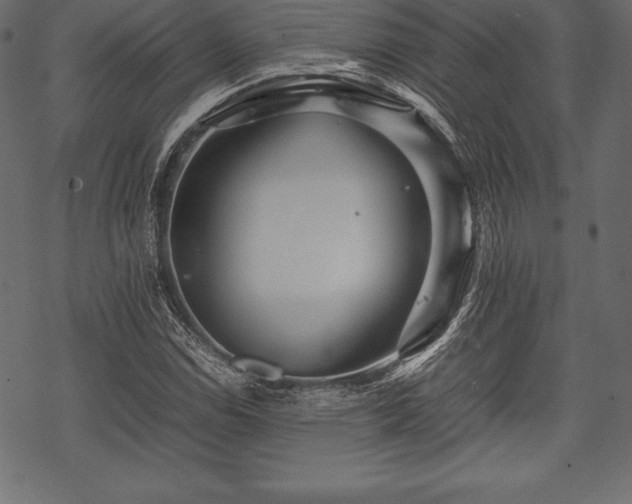 X0000070191114200605301306