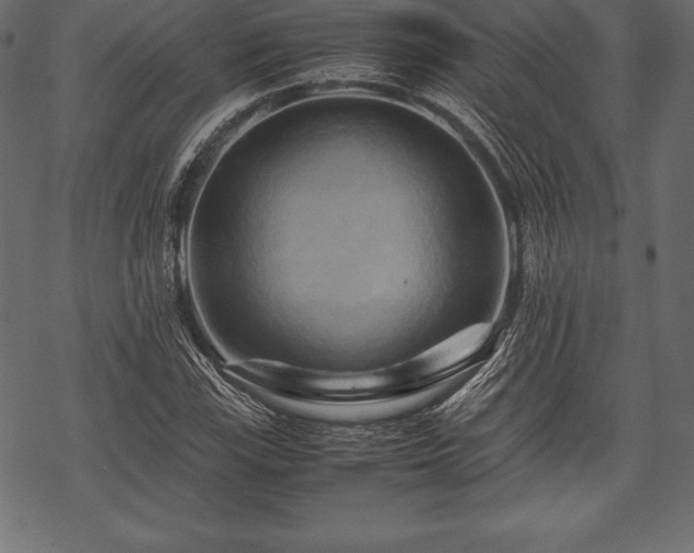 X0000070191115200605301306