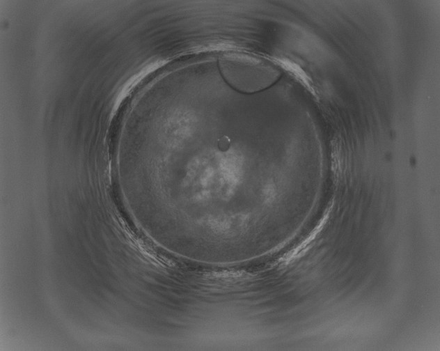 X0000070191117200605301306