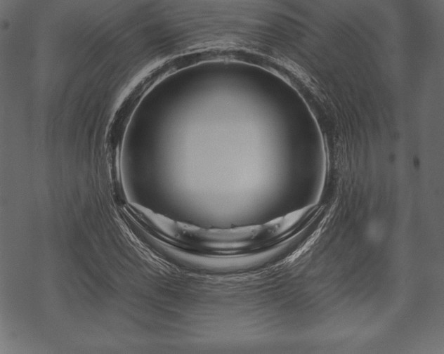 X0000070191118200605301306