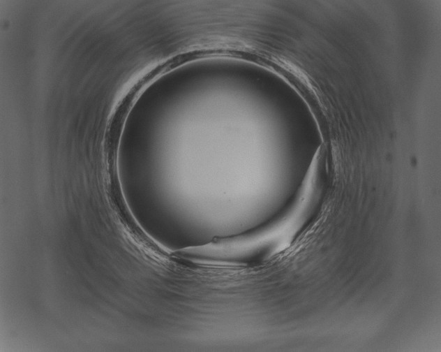 X0000070191120200605301306