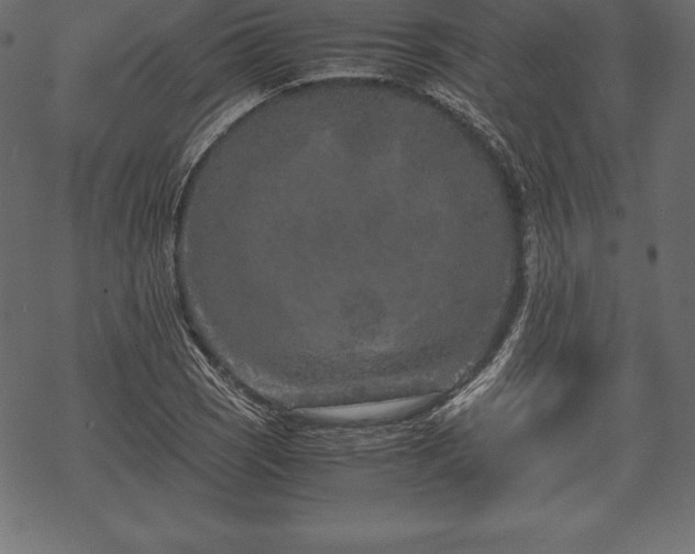 X0000070191121200605301306