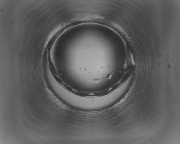 X0000070191122200605301306