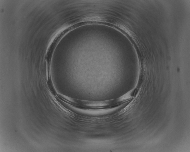 X0000070191123200605301306