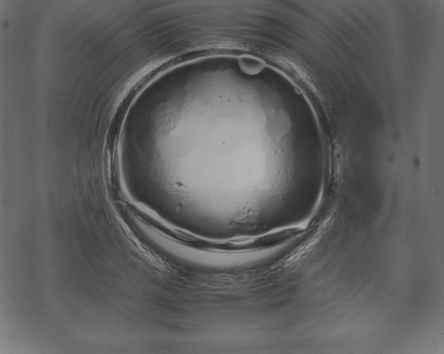 X0000070191125200605301306