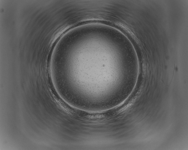 X0000070191129200605301306